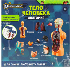 Набор для опытов «Тело человека. Анатомия: внутренние органы» - Фото 4