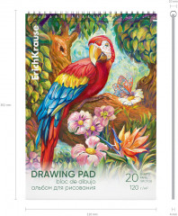 Альбом для рисования - Фото 2