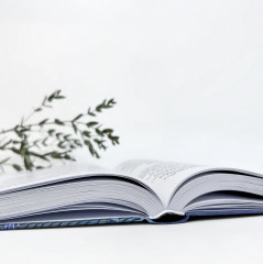 Мифология воды и водоемов. Былички, бывальщины, поверья, космогонические и этиологические рассказы Русского Севера - Фото 2