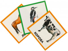 Развивающие карточки «Животные» - Фото 3