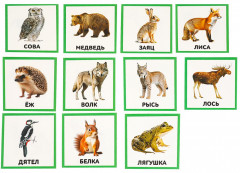 Развивающие карточки «Животные» - Фото 1