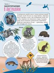 Изучаем удивительный мир животных - Фото 1