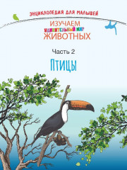 Изучаем удивительный мир животных - Фото 2