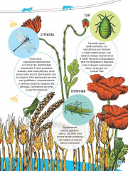 Изучаем удивительный мир животных - Фото 3