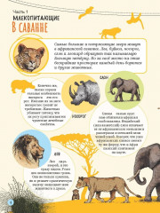 Изучаем удивительный мир животных - Фото 4