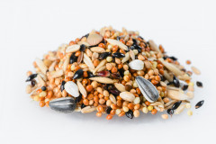 Корм для мелких попугаев «Робинзон» - Фото 5