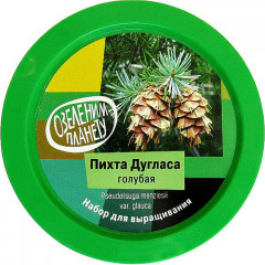 Набор для выращивания «Пихта Дугласа, голубая» - Фото 1