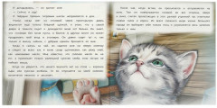 Книга «Кот» - Фото 1