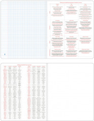Тетрадь предметная «English» - Фото 4