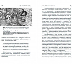 С нами или без нас. Естественная история будущего - Фото 11