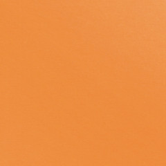 Бумага цветная «Львенок» - Фото 3