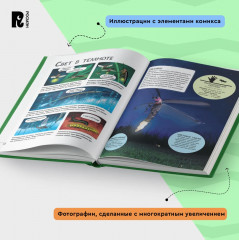 Невероятные насекомые. Иллюстрированная энциклопедия - Фото 4
