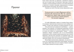 Добруши и кошули. Тайна башни - Фото 2