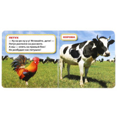 Домашние животные - Фото 1