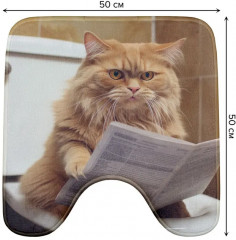 Коврик для ванной комнаты «Возмущённый кот» - Фото 1