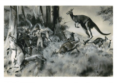 Таинственный остров - Фото 2