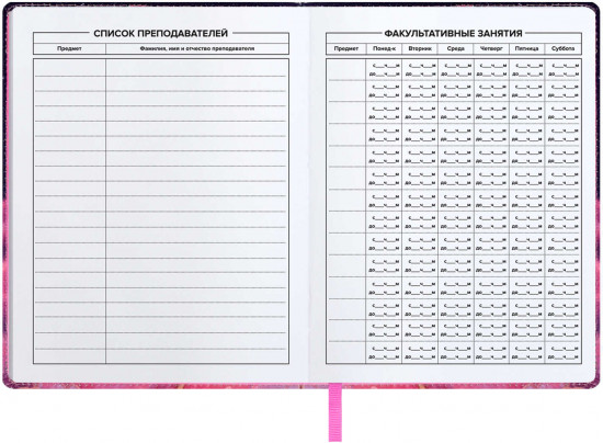 Дневник школьный