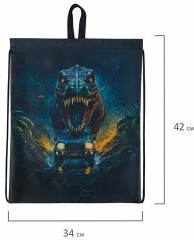 Мешок для обуви «Dino chase» - Фото 2