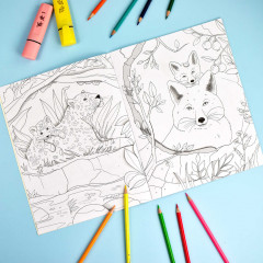 Книжка-раскраска «Чудесные животные» - Фото 2