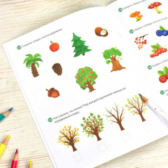 Книжка-картинка с заданиями «Окружающий мир» - Фото 3