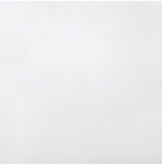 Картон белый «Лебедь» - Фото 6