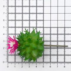 Кактус искусственный - Фото 2