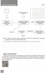 Физиология эндокринной системы. Рабочая тетрадь - Фото 4