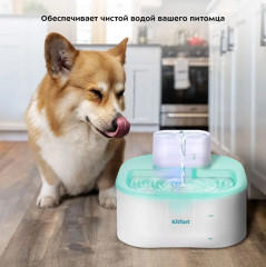 Фонтанчик для животных «КТ-6365» - Фото 1