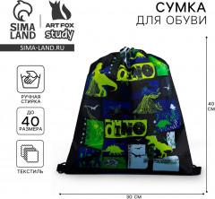 Мешок для обуви «Динотайм» - Фото 1