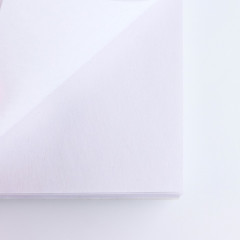 Альбом для рисования «Корги» - Фото 3