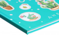 Дневник для 1-11 классов «Кактусы» - Фото 2