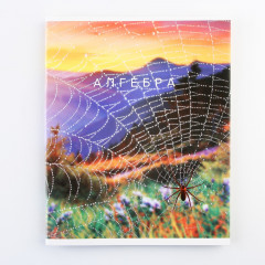 Тетрадь предметная «Алгебра» - Фото 3