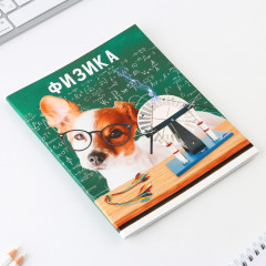 Тетрадь предметная «Физика» - Фото 5