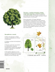 Мой гербарий. Листья деревьев - Фото 1