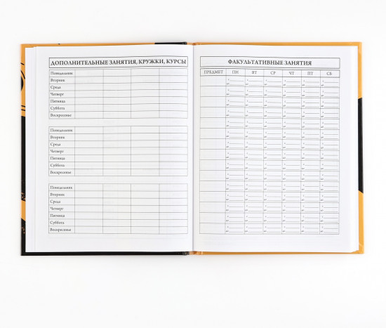 Дневник школьный для 5-11 классов «1 сентября: Football»