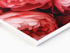 Альбом для рисования «Цветы» - Фото 1