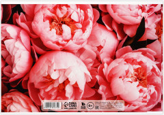 Альбом для рисования «Цветы» - Фото 3