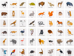 Лото «Зоопарк» - Фото 6