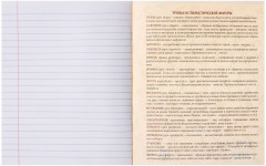 Тетрадь предметная «Полоса. Литература» - Фото 3