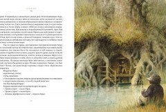 Ветер в ивах - Фото 3