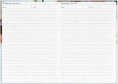 Ежегодник учителя «Тюльпан» - Фото 9