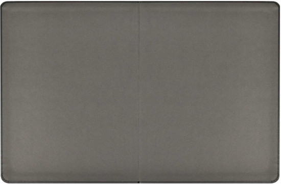 Дневник школьный «Роборука»