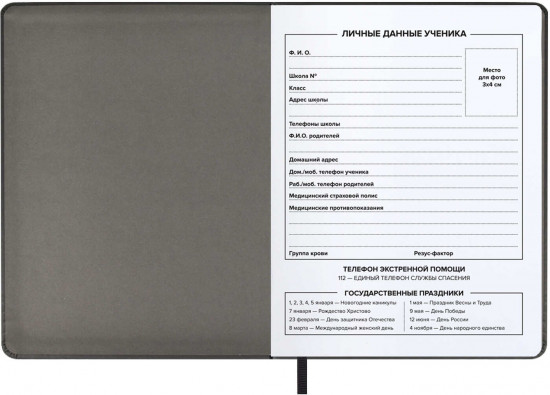 Дневник школьный «Роборука»