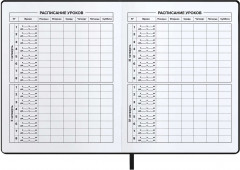 Дневник школьный - Фото 3