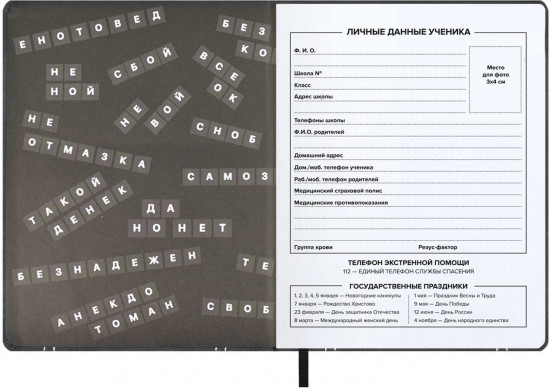 Дневник школьный