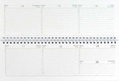 Планинг датированный на 2025 год «Змея и пионы» - Фото 4