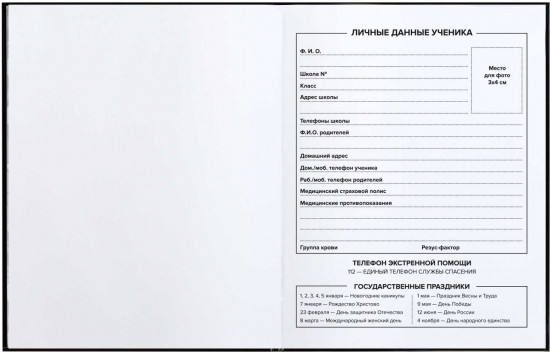 Дневник школьный «Девиз»