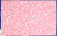 Дневник школьный «Скейтбордистка» - Фото 2