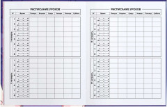 Дневник школьный «Скейтбордистка» - Фото 5