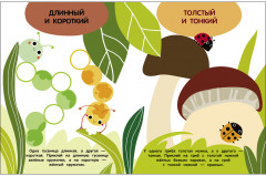 Мои первые наклейки 3+ Сравнилки - Фото 3